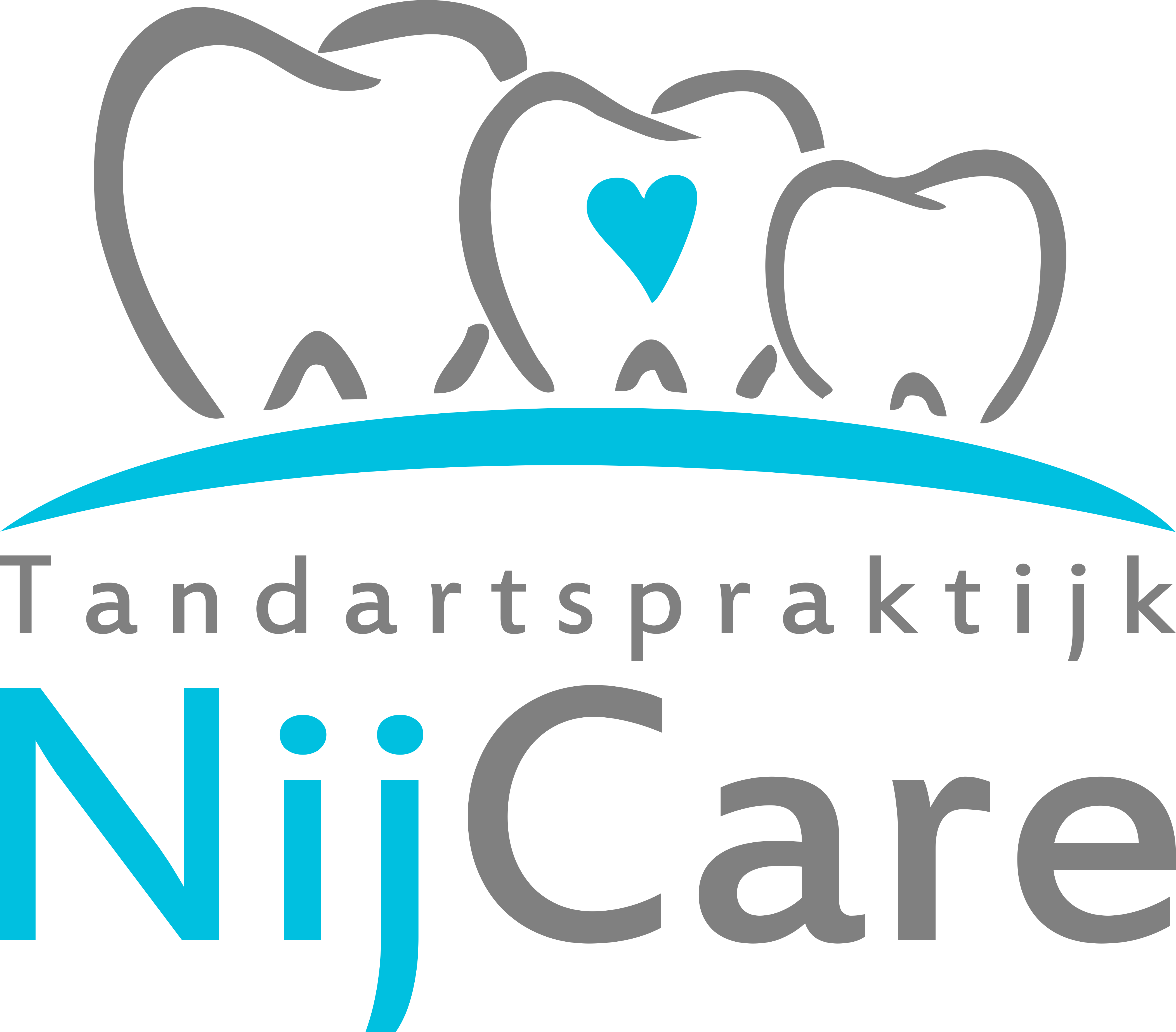 Nijcare logo AI transparency.png